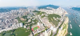 秋景绿意浓