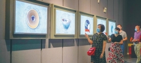 文明观展 享“文化大餐”