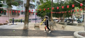 旧小区焕新貌