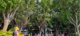 口袋公园“遍地开花”