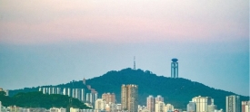 绿意衬晚霞