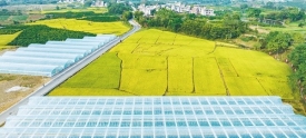 整合土地资源　助力乡村振兴