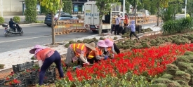 绿化美化堤顶路