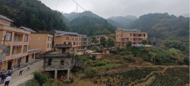 乡村显新貌