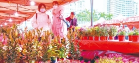 我们的节日·春节丨2023年梧州市迎春花市在市政广场开市
