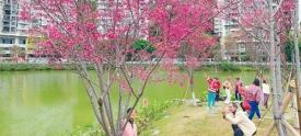 文明旅游丨潘塘公园赏?；? width=