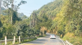 文明城市创建丨乡村道路焕新貌
