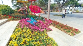 文明城市创建丨暖春百花开