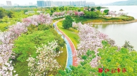 文明城市创建丨紫?；±寐缁? width=