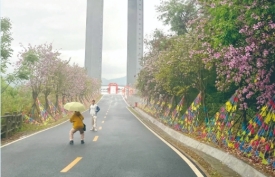文明旅游丨登山观景