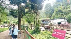 文明旅游丨雨水暂歇 市民游园踏青
