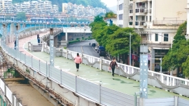 我为群众办实事丨河东防洪堤强化防洪能力