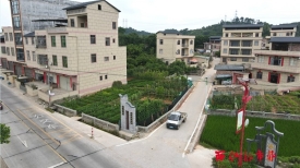 文明村镇创建丨龙圩区大坡镇河步村显新貌