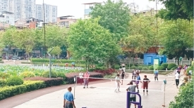文明城市创建丨天气宜人 市民晨运