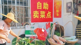 乡风文明丨长洲区长洲镇泗洲村深入开展精神文明建设
