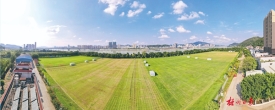 文明城市创建丨养护草坪提升配套
