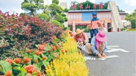 我们的节日·中秋丨美化公园迎“双节”