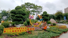 绿化美化迎接节会