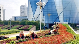 梧州市提升城市花化彩化景观