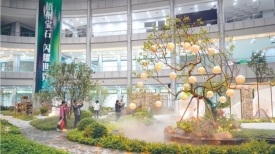 2023梧州六堡茶文化节—第二十届梧州宝石节圆满落下帷幕