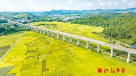 乡风文明丨美丽乡村画卷