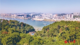 南岸植被延绵
