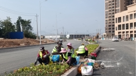 文明城市创建丨新道路忙绿化