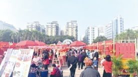 元旦梧州市各类文体活动精彩纷呈