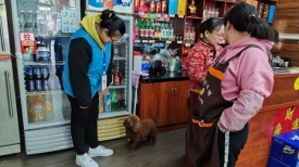 文明实践丨长洲区大塘街道华洋社区开展文明养犬宣传活动