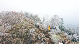 六堡镇山坪村现冰挂