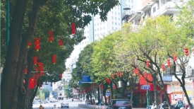 我们的节日·春节丨挂灯笼　年味浓