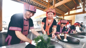 2024年苍梧县六堡茶开茶节活动精彩纷呈