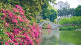 文明城市创建丨宝巾盛开添美景