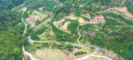 “四好农村路”助力乡村振兴