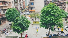 文明城市创建丨老旧小区环境改善