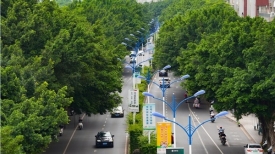 文明城市创建丨路“嵌”绿中