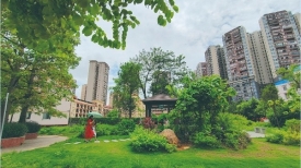 文明城市建设丨梧州市多项基础设施优化更新工作落地见效
