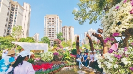 赏花展留倩影